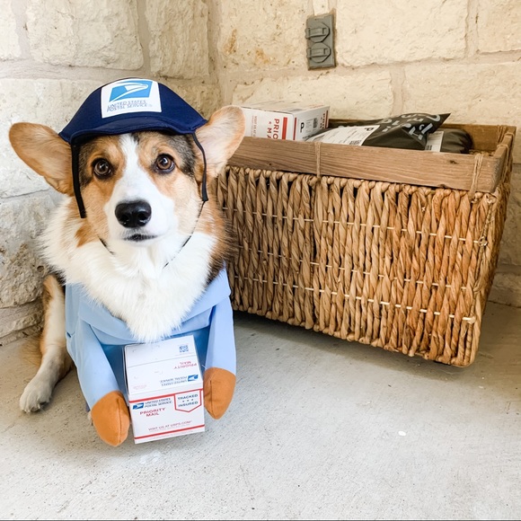 Meet your Posher, Catherine - Picture 2 of 5